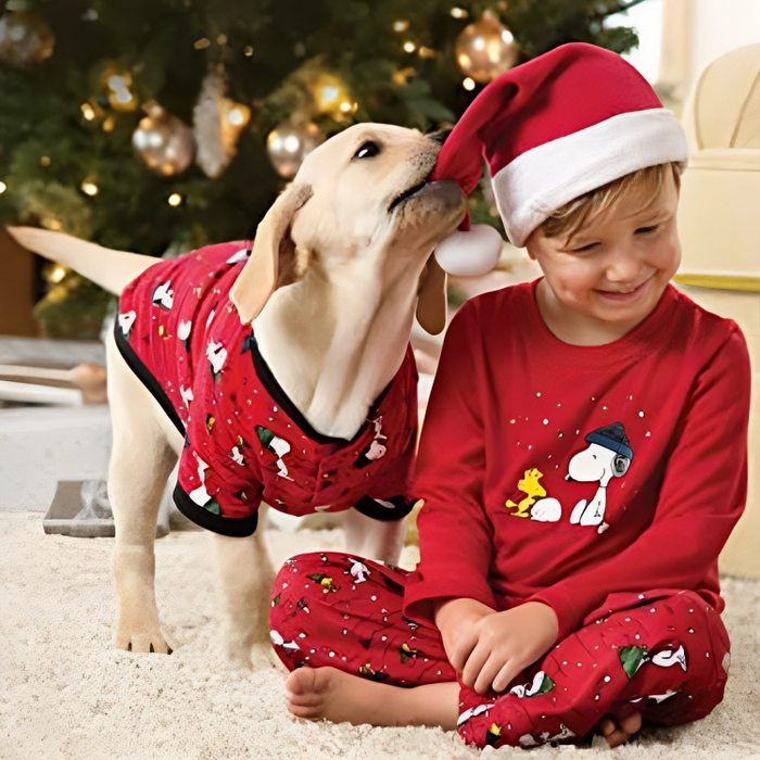 Cozy Comfy Snoopy Family  Pajamas